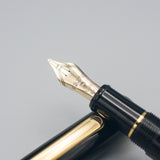 Platinum 3776 Century (Black Music Nib)